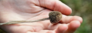 squamishmontessori_about2